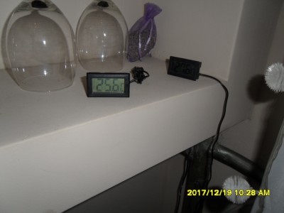 SAM_9397.JPG