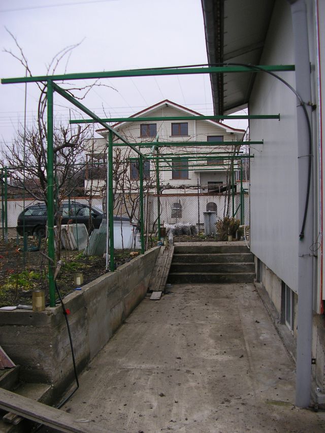 P1010440-1.jpg