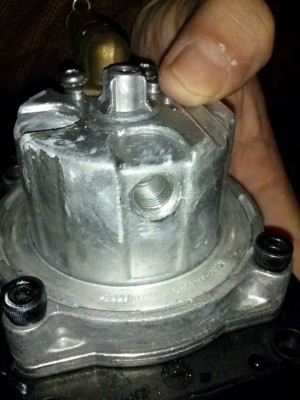 CAM03900 (Medium).jpg