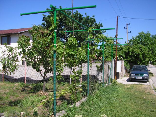 P5020004-1.jpg