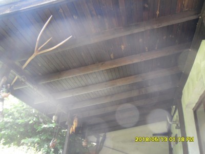 SAM_9508.JPG
