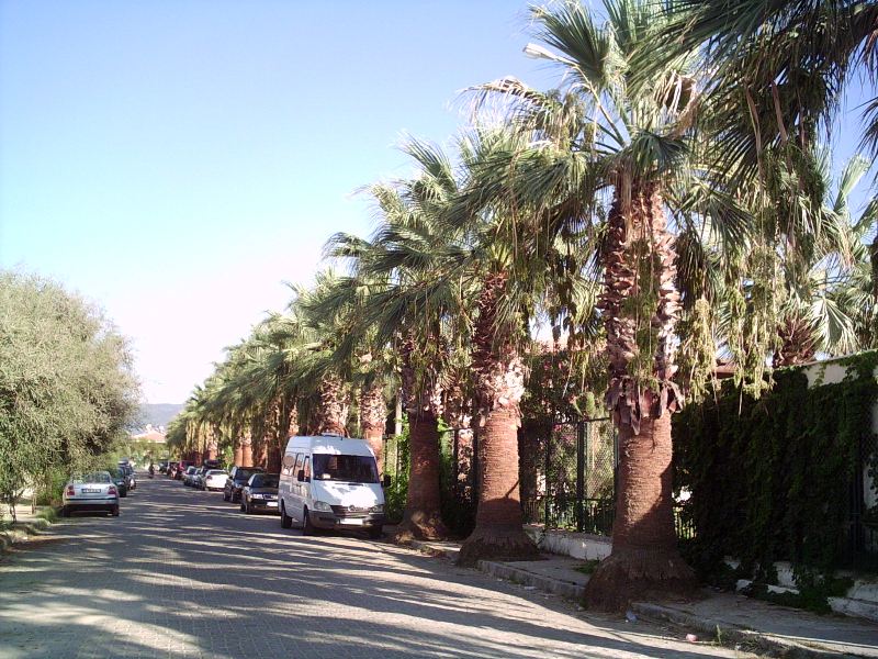 PICT0101.JPG