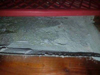 20180626_073425.jpg