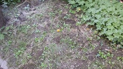 20180701_112522.jpg