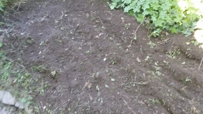 20180701_113640.jpg