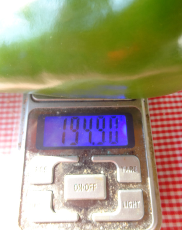 Snap2144128643.jpg
