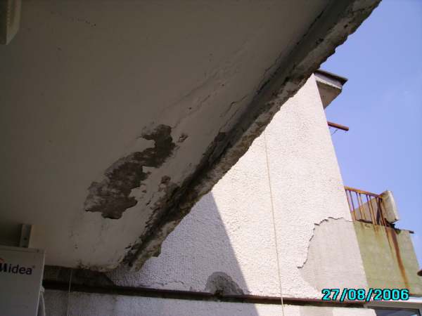 IMGP3193.JPG