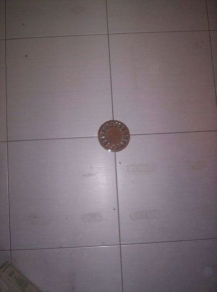 100_1117.jpg