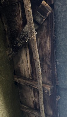 B193097C-06D9-435E-9ED9-A7FE39C54671.jpeg