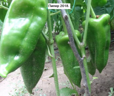 Snap2144128379.jpg
