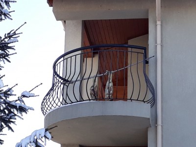 koledna ukrasa.jpg