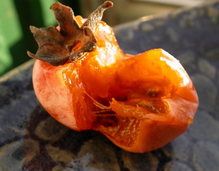 Persimmon_split_open_8-17-16.JPG