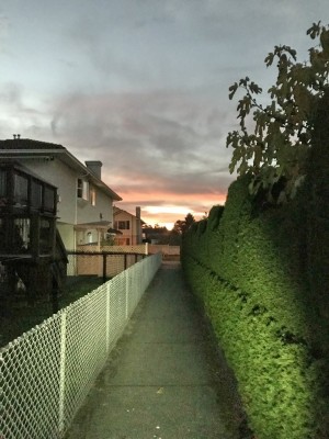 IMG_30751024.jpg