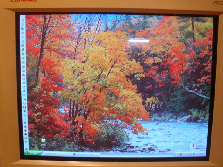 DSC04163_resize.JPG
