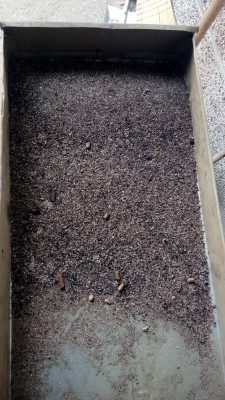 IMG_20181117_144156.jpg