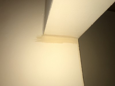 IMG_4702.jpg