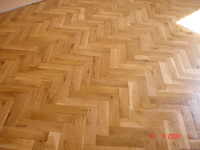 паркDSC07923ц.jpg