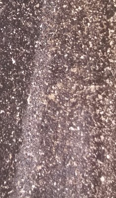 20181231_083029.jpg