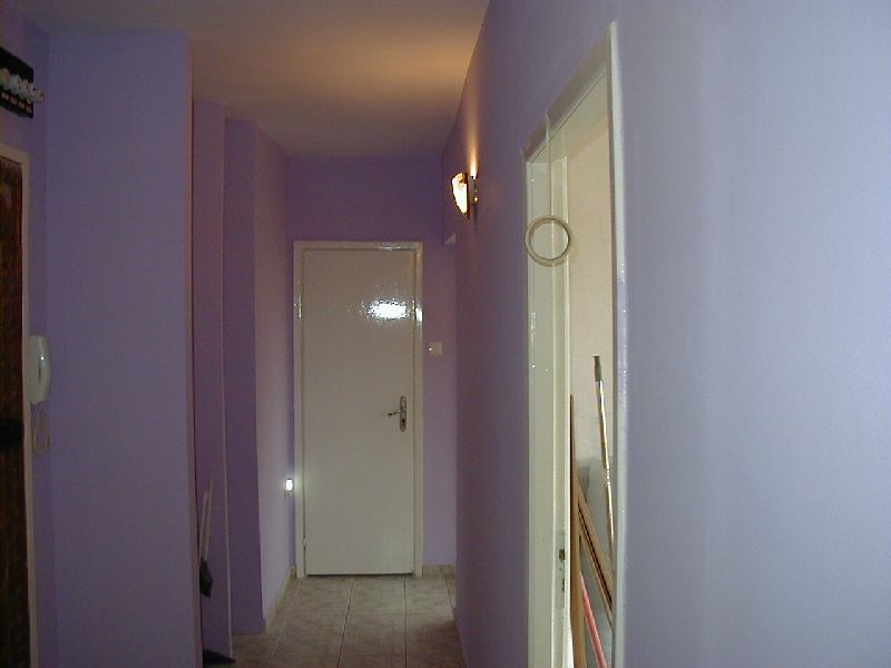 P1010153.jpg