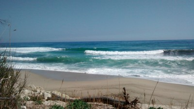 IMG_20190331_132935884.jpg
