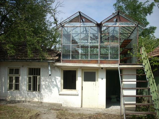 DSCN0528.JPG