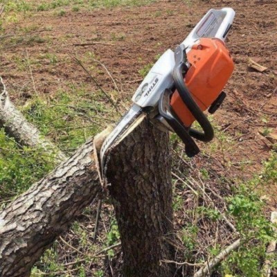 Stihl.jpg