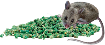 mouse-pelletes.png