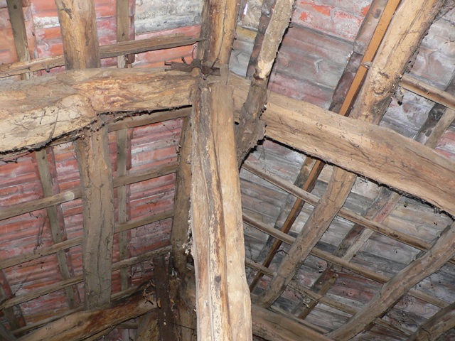 P1050433.JPG
