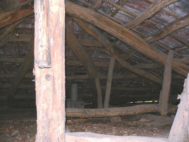 P1050431.JPG