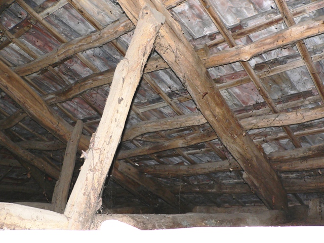 P1050429.JPG