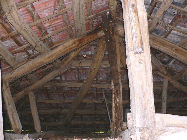 P1050428.JPG