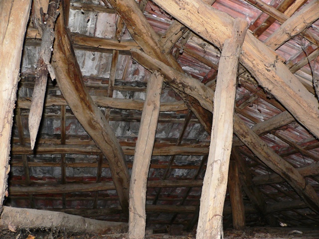 P1050426.JPG
