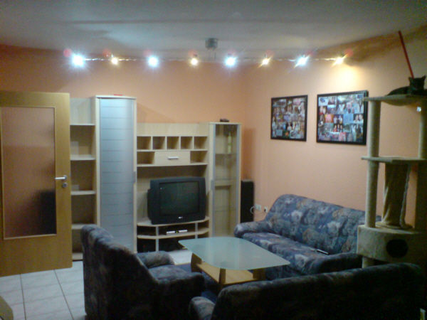 19937485_full.jpg