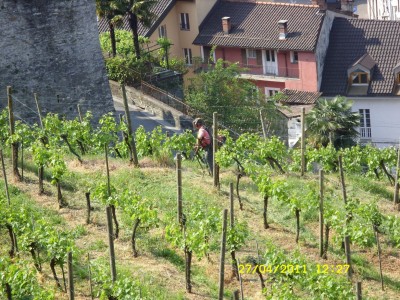 SDC12586а.JPG