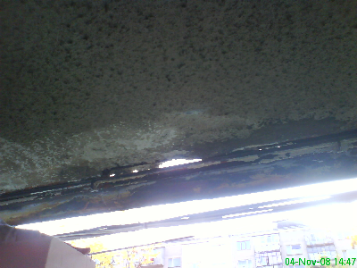 DSC00920-mini-mini.JPG