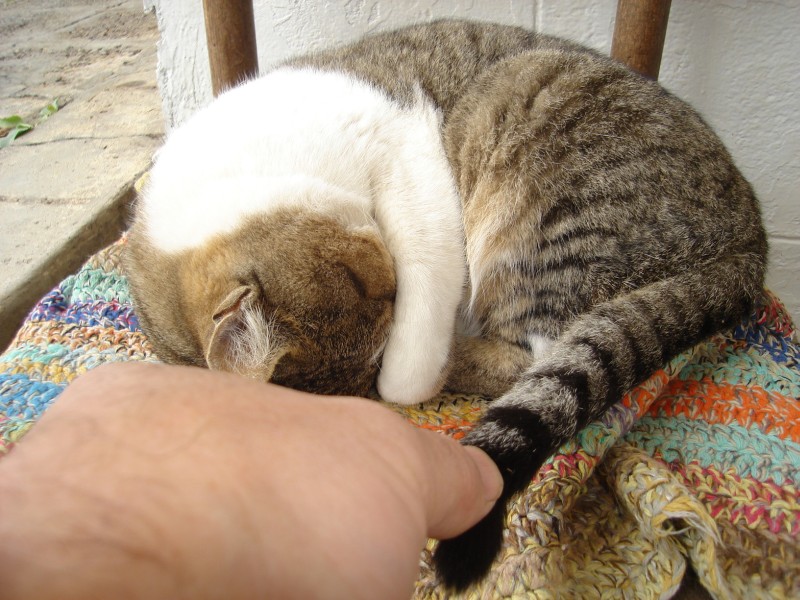 DSC06262.JPG