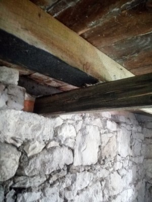 rsz_img_20190505_124843.jpg