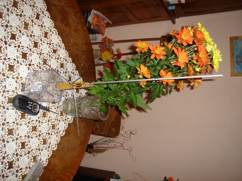 DSC06239.JPG