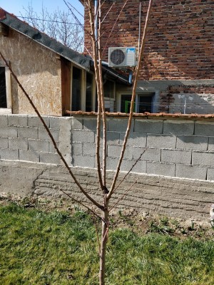 IMG_20200216_125107.jpg