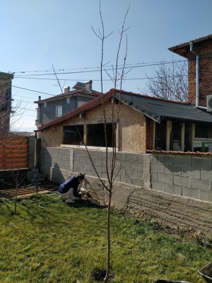 IMG_20200216_125101.jpg