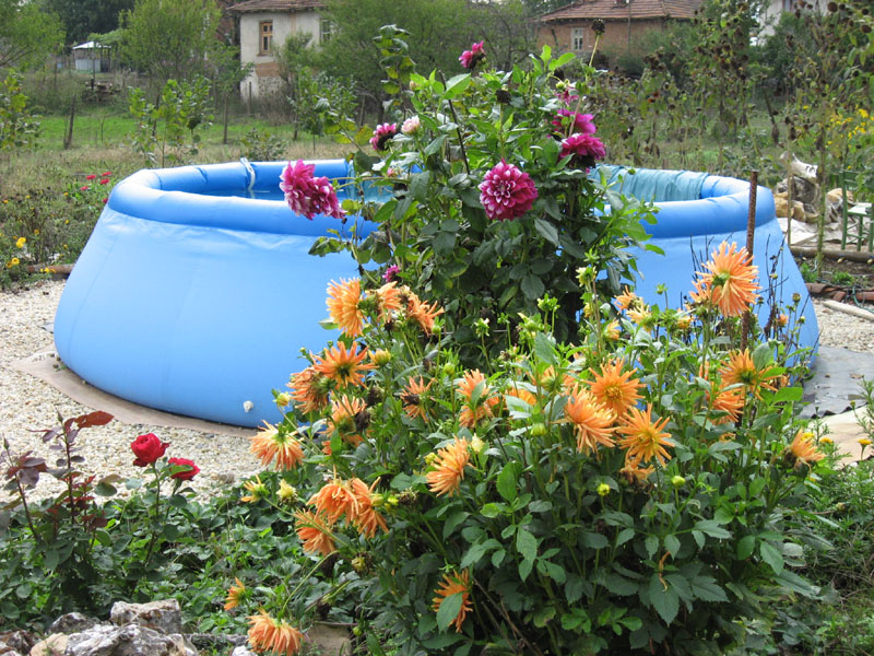 Copy (1) of Picture 111-1.jpg