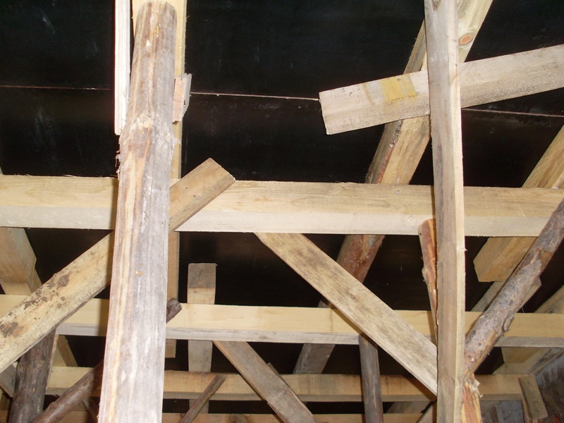 SL370690.JPG