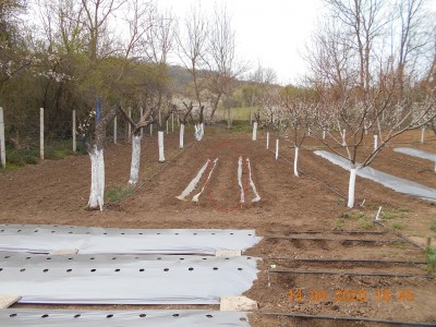 DSCN1242.JPG