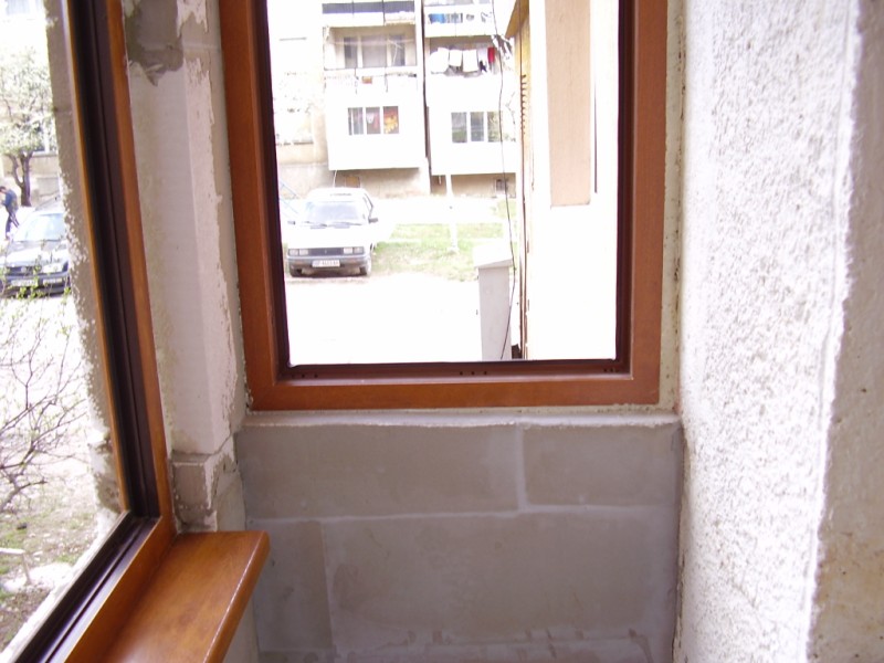 P3120028 [800x600].JPG