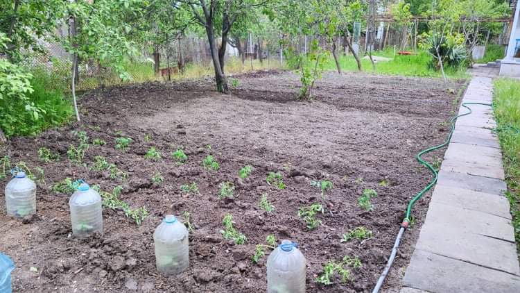 received_233990137663113.jpeg