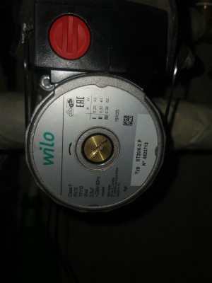 IMG_20200503_180246.jpg