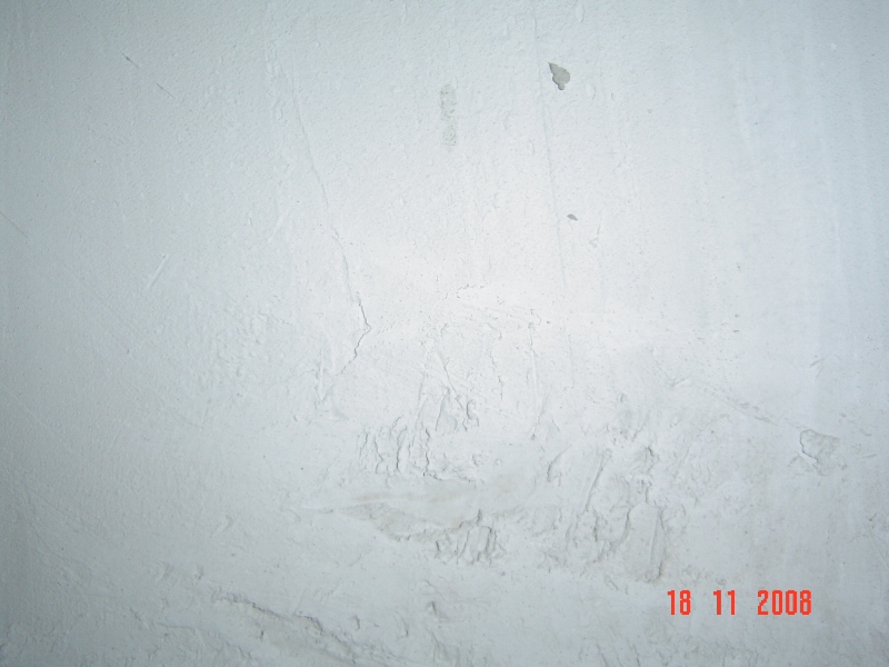 DSC00525.JPG