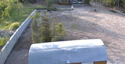 IMG_20200515_174320.jpg