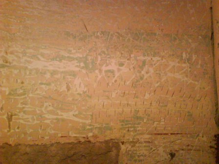 DSC00072_1.JPG