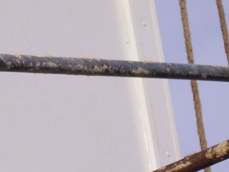 PB240009.JPG
